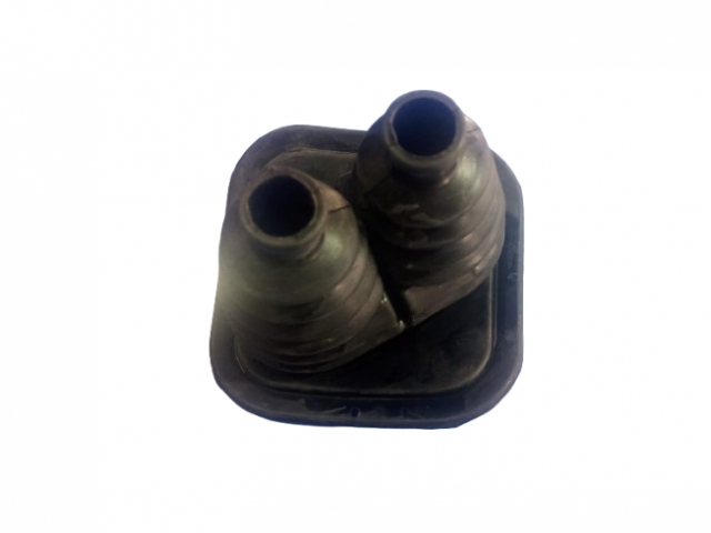 KÖRÜK- VİTES KOLU